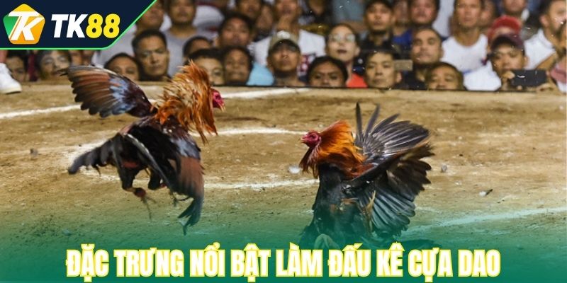 Các đặc trưng nổi bật làm đấu kê cựa dao hấp dẫn