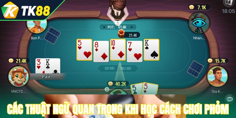 Các thuật ngữ quan trọng khi học cách chơi phỏm
