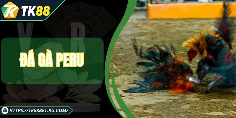 Đá Gà Peru – Trải Nghiệm Cá Cược Hấp Dẫn Cho Anh Em Đam Mê