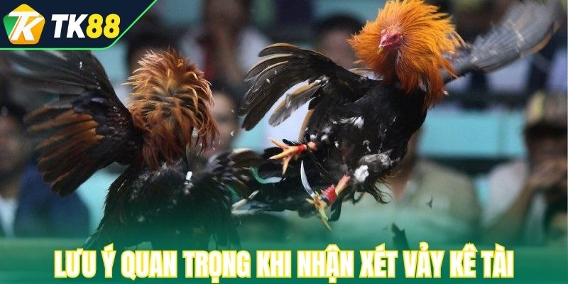 Lưu ý quan trọng khi nhận xét và đánh giá vảy kê tài