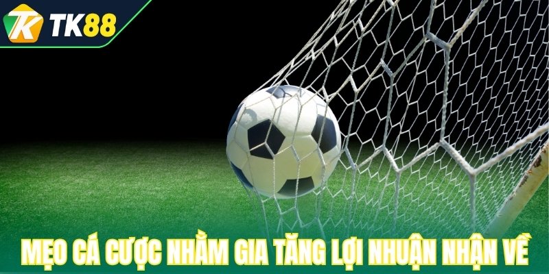 Mẹo cá cược hiệu quả nhằm gia tăng lợi nhuận nhận về