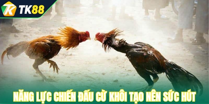 Năng lực chiến đấu cừ khôi tạo nên sức hút 