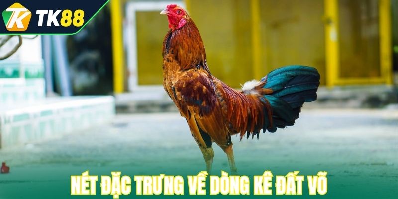 Nét đặc trưng về dòng kê đất võ 