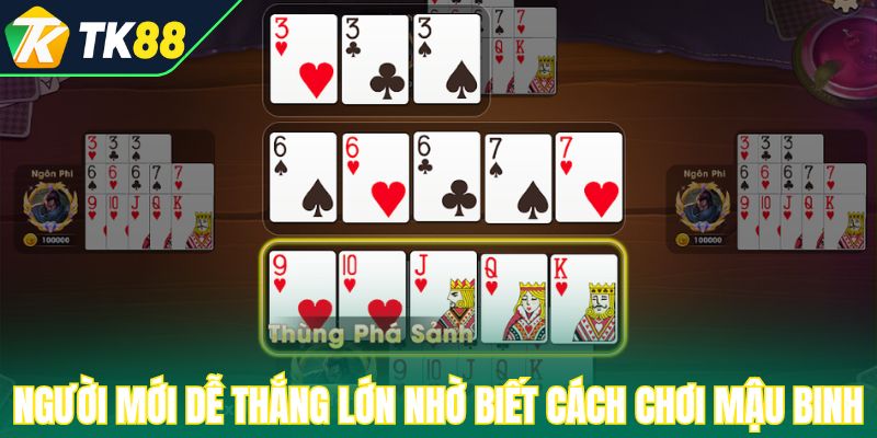 Người mới dễ thắng lớn nhờ biết cách chơi mậu binh