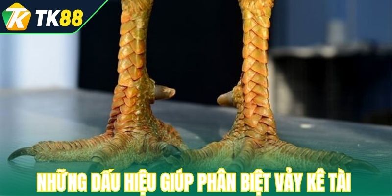 Những dấu hiệu giúp phân biệt vảy kê tài chính xác