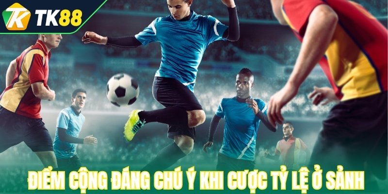 Những điểm cộng đáng chú ý khi cược tỷ lệ ở sảnh