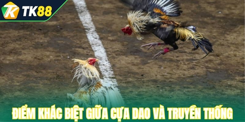 Những điểm khác biệt giữa đá gà cựa dao và truyền thống