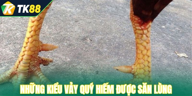 Những kiểu vảy quý hiếm được săn lùng