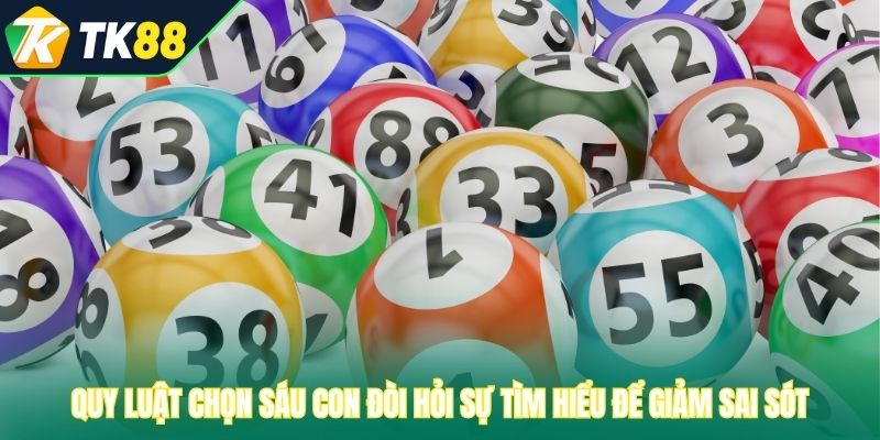 Quy luật chọn sáu con đòi hỏi sự tìm hiểu để giảm sai sót